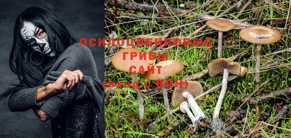 прущая мука Богданович