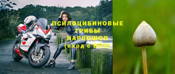 марихуана Белокуриха