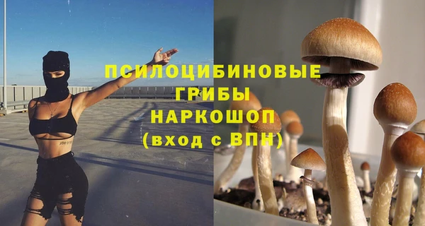 прущая мука Богданович